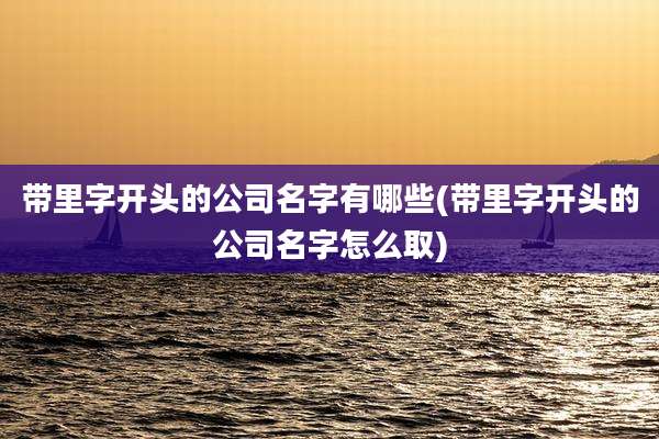 带里字开头的公司名字有哪些(带里字开头的公司名字怎么取)