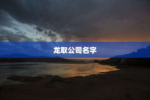 龙取公司名字