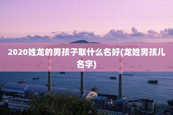 2020姓龙的男孩子取什么名好(龙姓男孩儿名字)