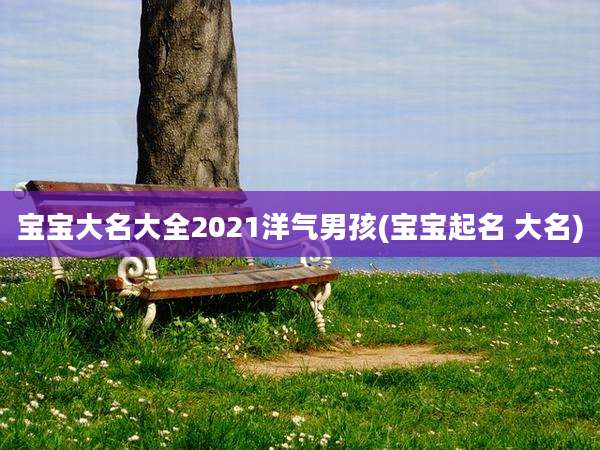 宝宝大名大全2021洋气男孩(宝宝起名 大名)