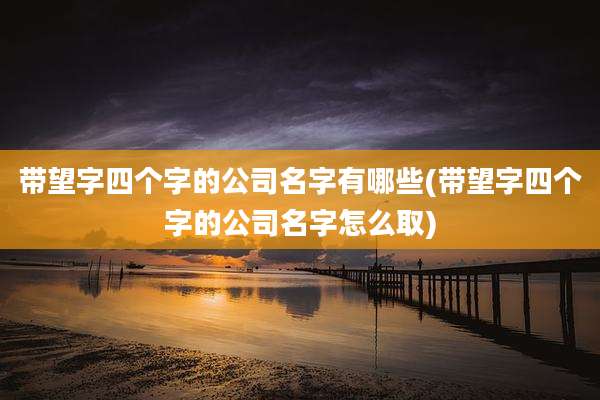 带望字四个字的公司名字有哪些(带望字四个字的公司名字怎么取)