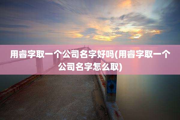 用睿字取一个公司名字好吗(用睿字取一个公司名字怎么取)