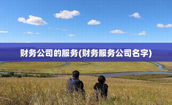 财务公司的服务(财务服务公司名字)