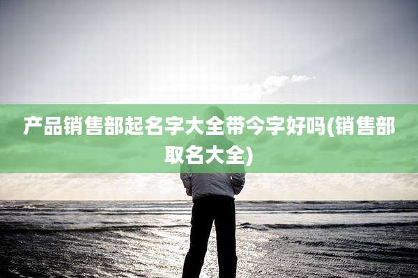 产品销售部起名字大全带今字好吗(销售部取名大全)