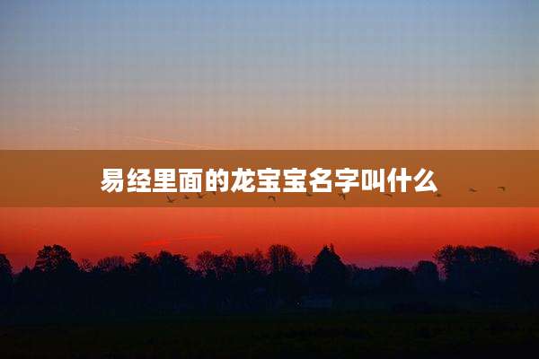 易经里面的龙宝宝名字叫什么