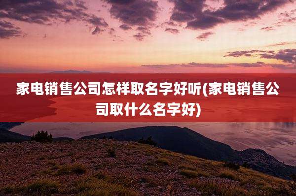 家电销售公司怎样取名字好听(家电销售公司取什么名字好)