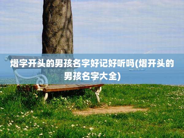 熠字开头的男孩名字好记好听吗(熠开头的男孩名字大全)