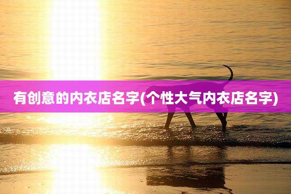 有创意的内衣店名字(个性大气内衣店名字)