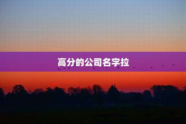 高分的公司名字拉
