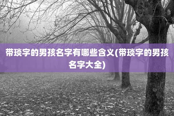 带琰字的男孩名字有哪些含义(带琰字的男孩名字大全)