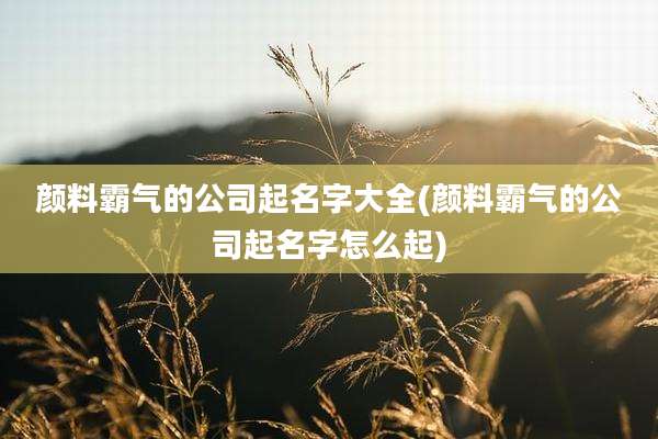 颜料霸气的公司起名字大全(颜料霸气的公司起名字怎么起)