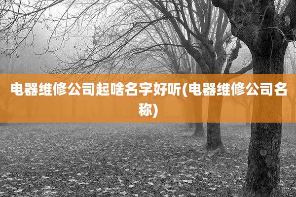 电器维修公司起啥名字好听(电器维修公司名称)