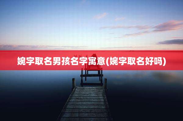 婉字取名男孩名字寓意(婉字取名好吗)