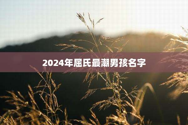 2024年屈氏最潮男孩名字