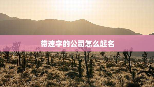 带速字的公司怎么起名