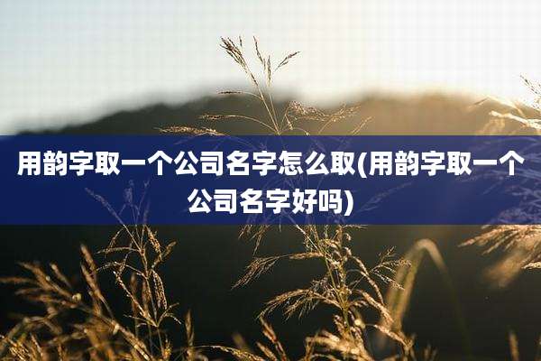 用韵字取一个公司名字怎么取(用韵字取一个公司名字好吗)