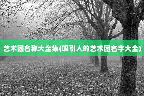 艺术团名称大全集(吸引人的艺术团名字大全)