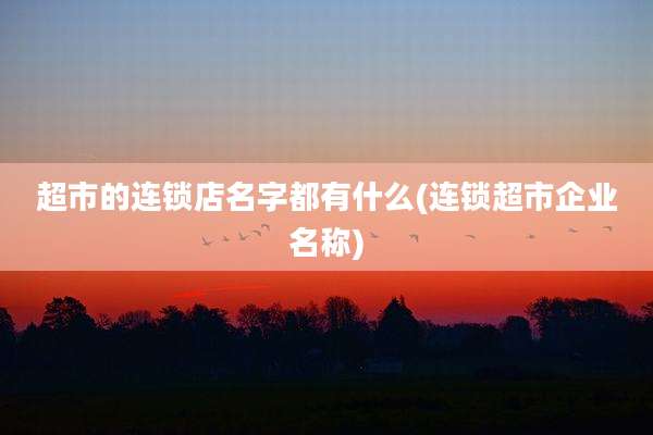 超市的连锁店名字都有什么(连锁超市企业名称)