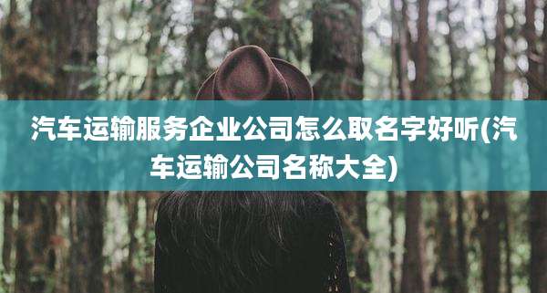 汽车运输服务企业公司怎么取名字好听(汽车运输公司名称大全)