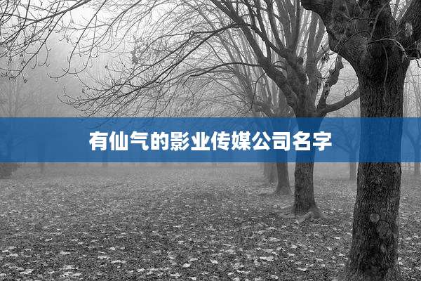 有仙气的影业传媒公司名字