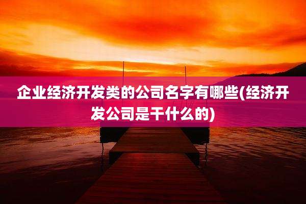 企业经济开发类的公司名字有哪些(经济开发公司是干什么的)