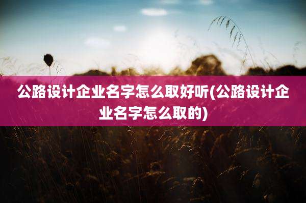 公路设计企业名字怎么取好听(公路设计企业名字怎么取的)