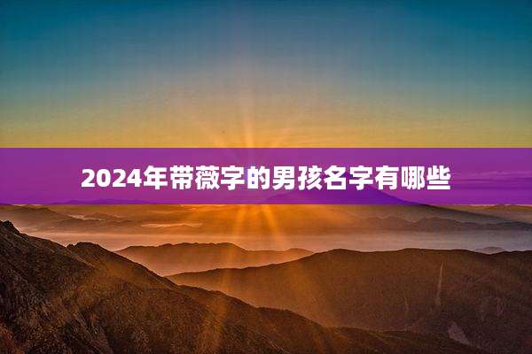 2024年带薇字的男孩名字有哪些