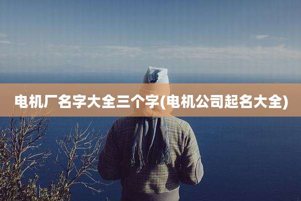 电机厂名字大全三个字(电机公司起名大全)