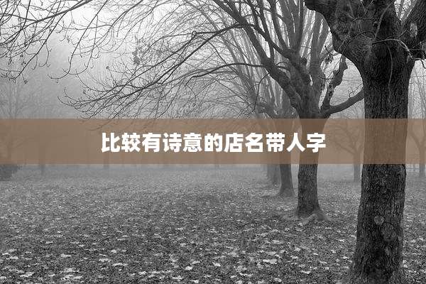 比较有诗意的店名带人字