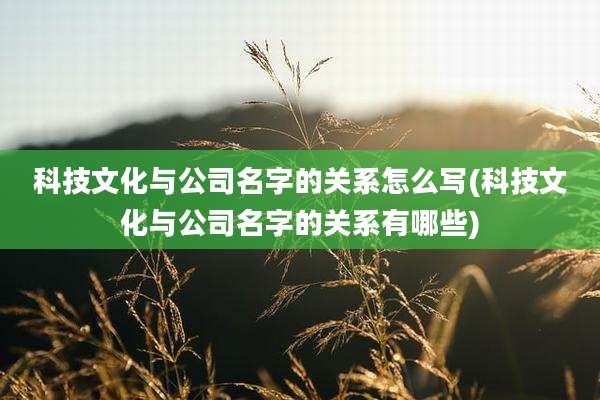科技文化与公司名字的关系怎么写(科技文化与公司名字的关系有哪些)