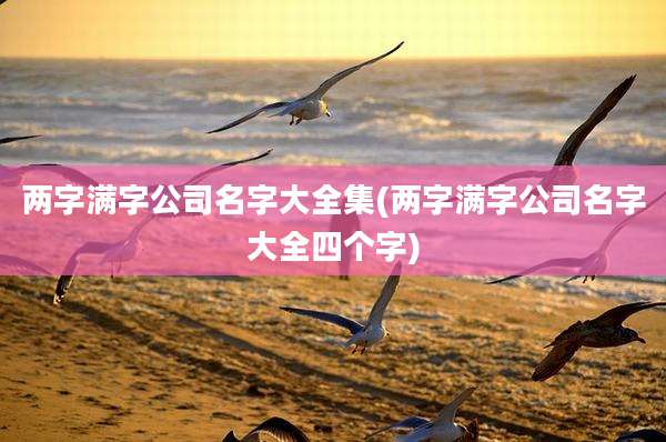 两字满字公司名字大全集(两字满字公司名字大全四个字)