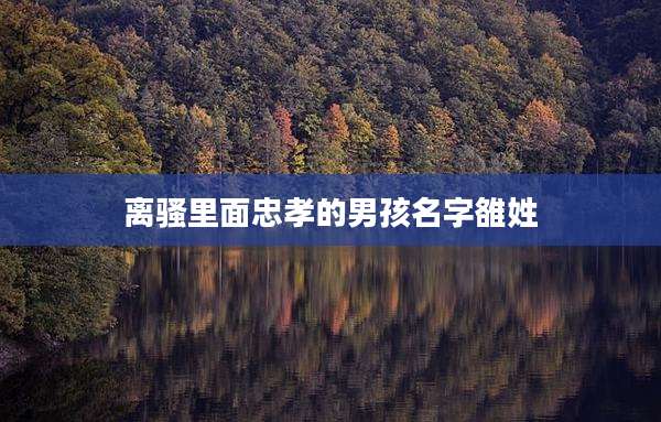 离骚里面忠孝的男孩名字雒姓