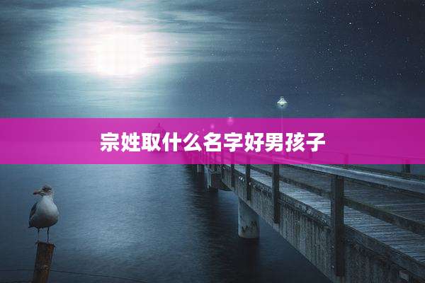 宗姓取什么名字好男孩子