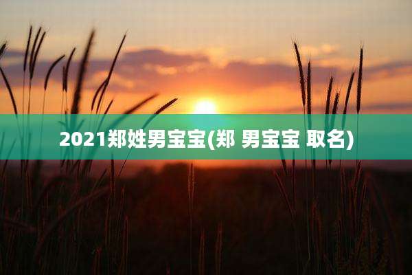 2021郑姓男宝宝(郑 男宝宝 取名)