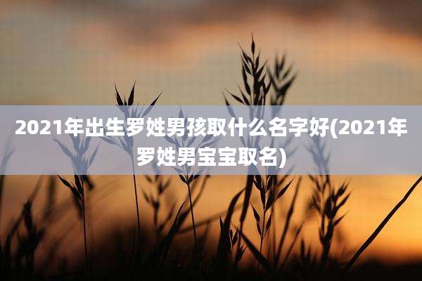 2021年出生罗姓男孩取什么名字好(2021年罗姓男宝宝取名)