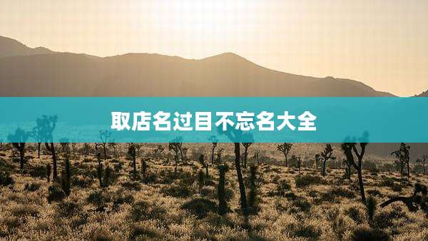 取店名过目不忘名大全