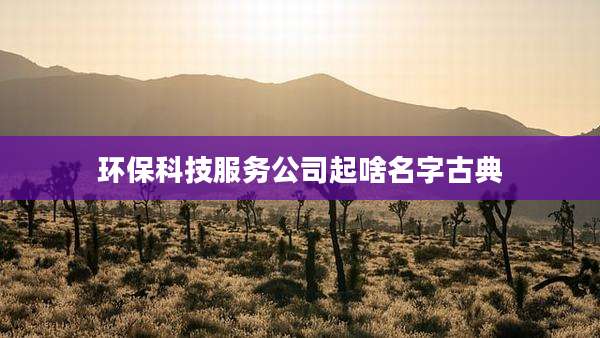 环保科技服务公司起啥名字古典