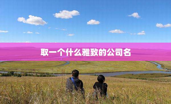 取一个什么雅致的公司名