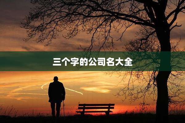 三个字的公司名大全