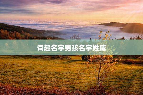 词起名字男孩名字姓戚