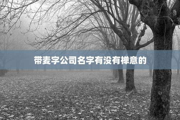 带麦字公司名字有没有禅意的