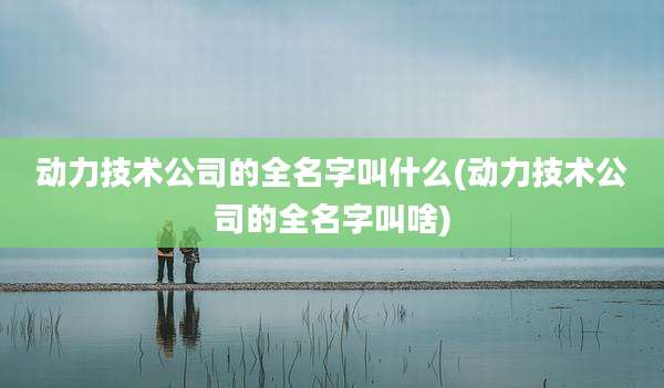 动力技术公司的全名字叫什么(动力技术公司的全名字叫啥)