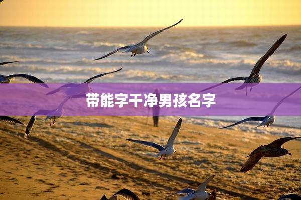 带能字干净男孩名字