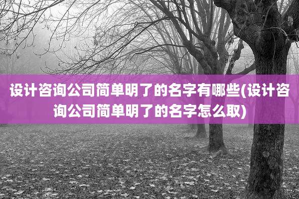 设计咨询公司简单明了的名字有哪些(设计咨询公司简单明了的名字怎么取)