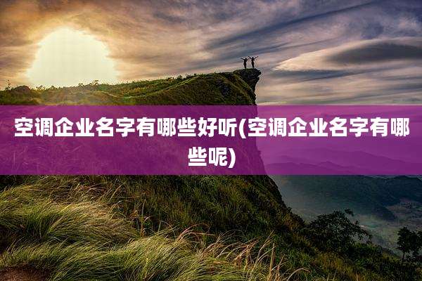 空调企业名字有哪些好听(空调企业名字有哪些呢)