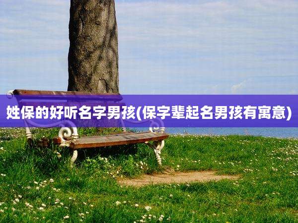 姓保的好听名字男孩(保字辈起名男孩有寓意)