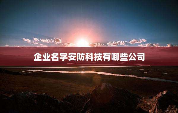 企业名字安防科技有哪些公司