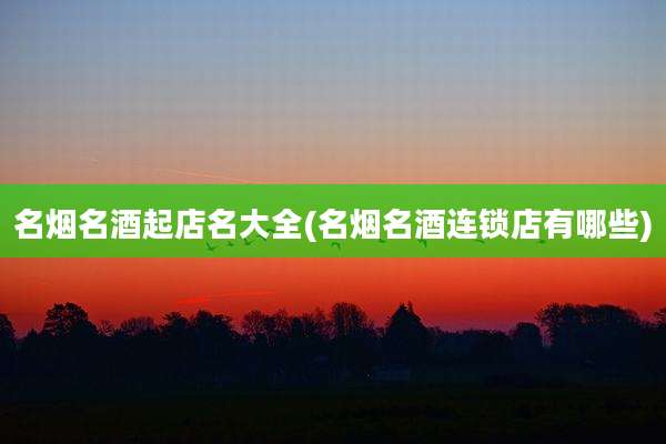 名烟名酒起店名大全(名烟名酒连锁店有哪些)