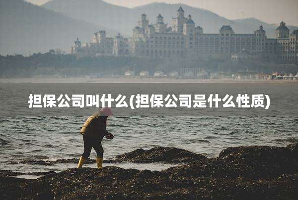 担保公司叫什么(担保公司是什么性质)