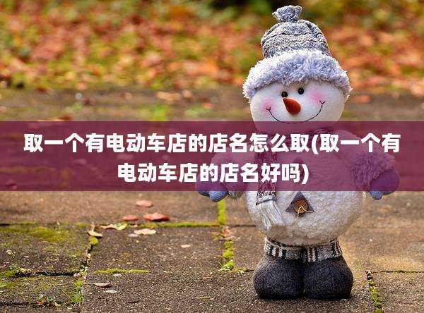 取一个有电动车店的店名怎么取(取一个有电动车店的店名好吗)